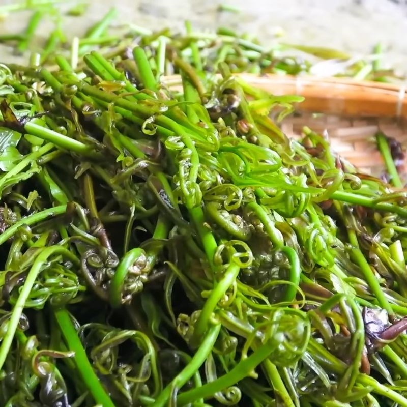 Bước 1 Sơ chế rau đọt choại Gỏi đọt choại khô cá lóc tôm