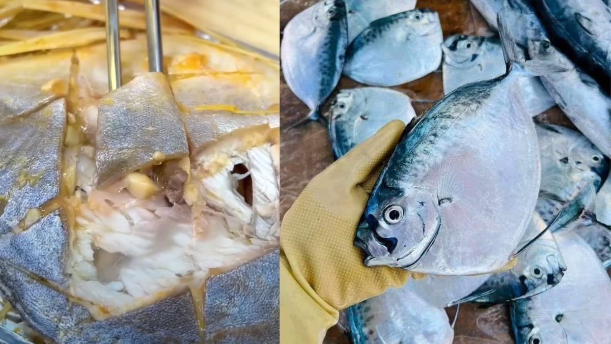 Cá bánh lái nướng