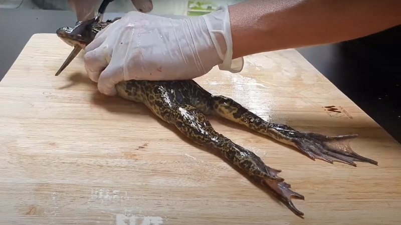 C&aacute;ch sơ chế ếch bỏ da 1