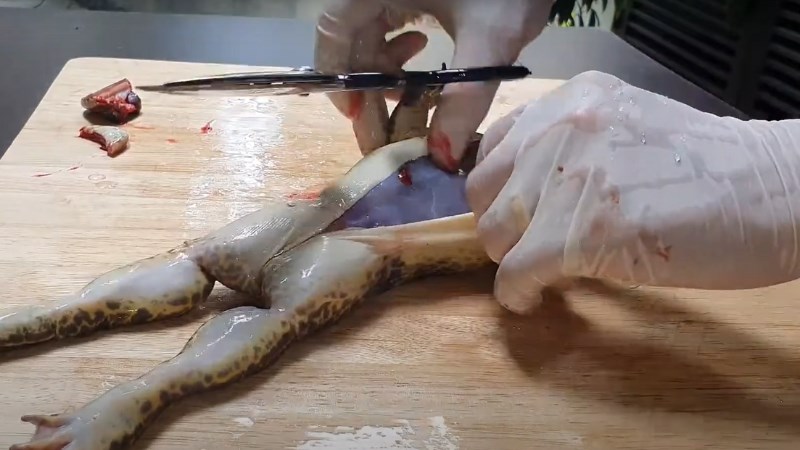 C&aacute;ch sơ chế ếch bỏ da 2