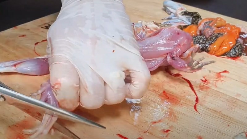 C&aacute;ch sơ chế ếch bỏ da 4