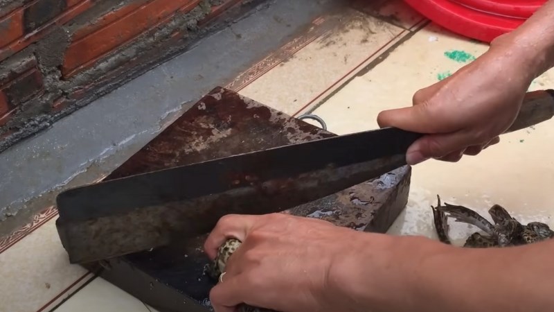 C&aacute;ch sơ chế ếch để da 2