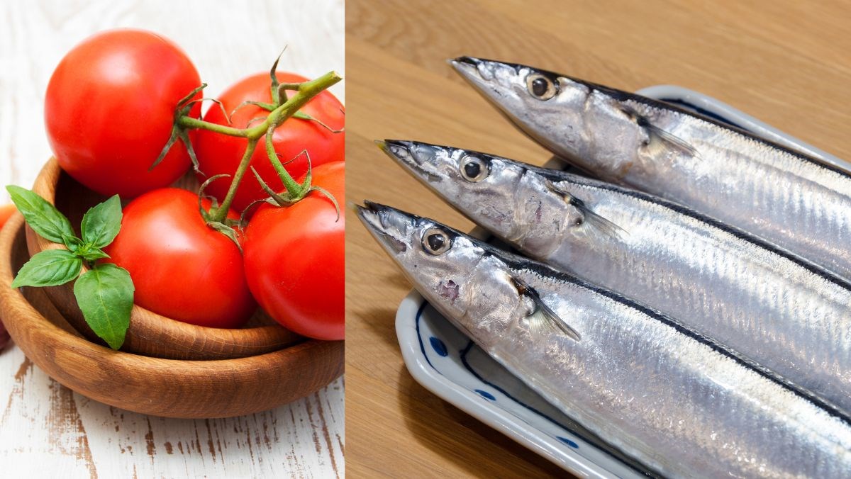 Nguyên liệu món ăn cá thu đao là cá gì? cá thu đao nấu món gì ngon?