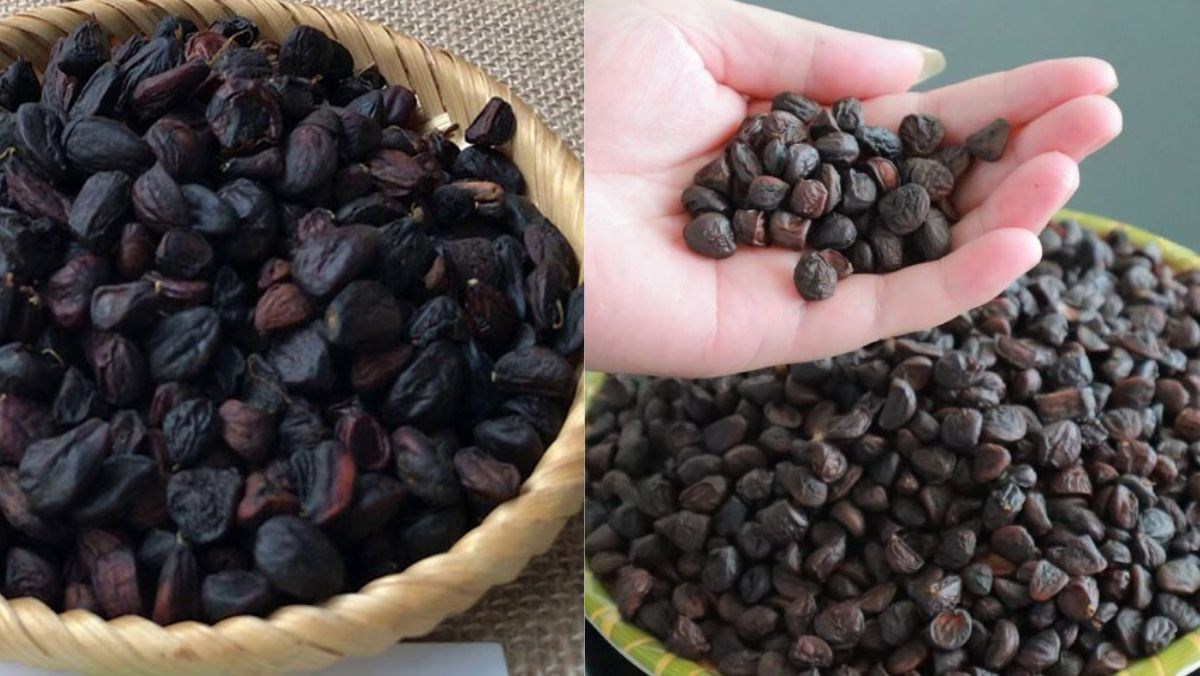 Nguyên liệu món ăn cách chế biến hạt dổi