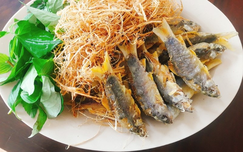 C&aacute; heo chi&ecirc;n gi&ograve;n