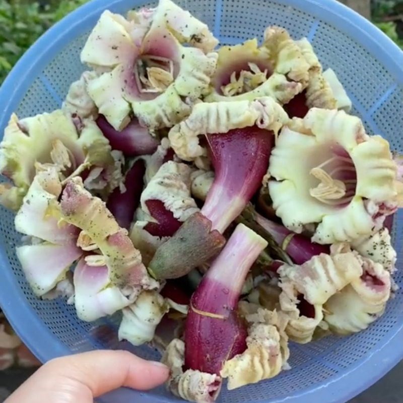 Bước 1 Phơi hoa núc nác Cách chế biến hoa núc nác khô