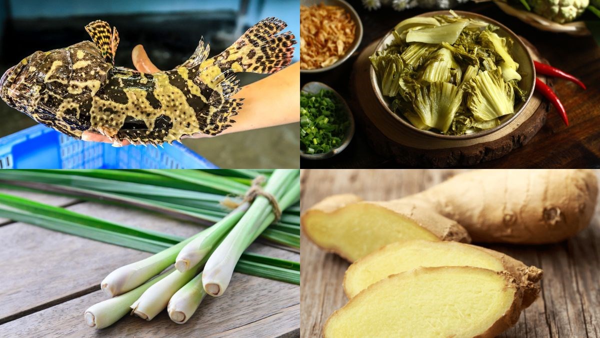 Nguyên liệu món ăn cách nấu cá mú hấp dưa thơm ngon miễn bàn bằng nồi lẩu điện có hấp