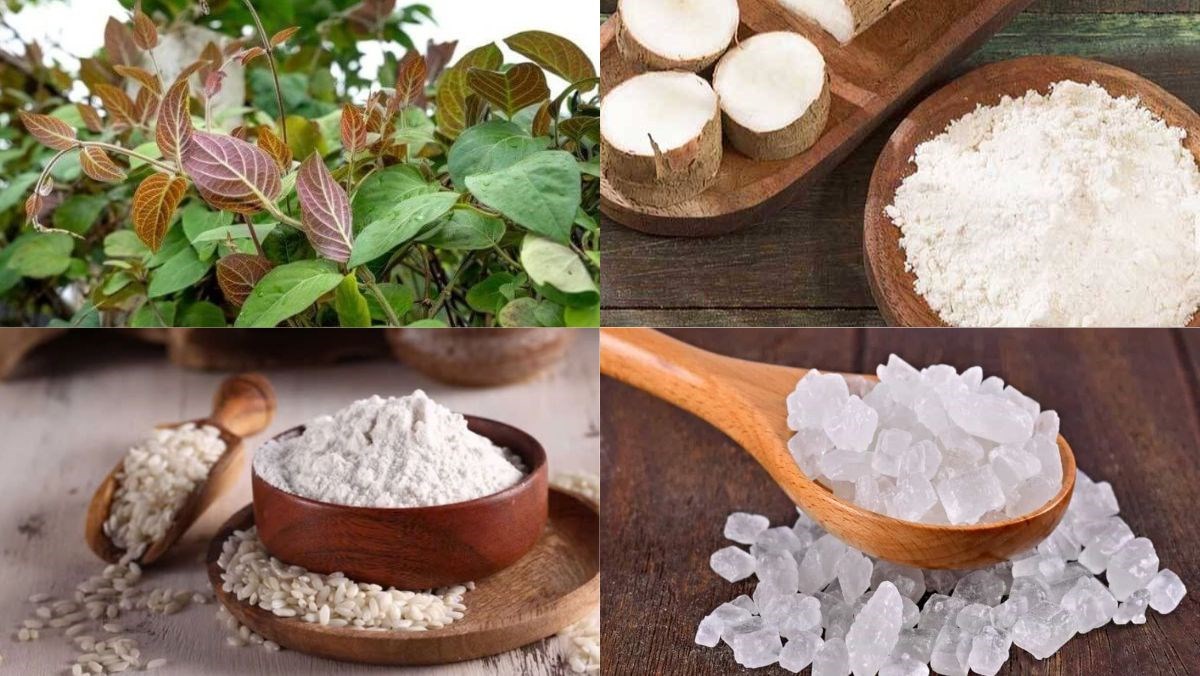 Nguyên liệu món ăn cách làm chè lá mơ của người hoa bằng máy ép nhanh