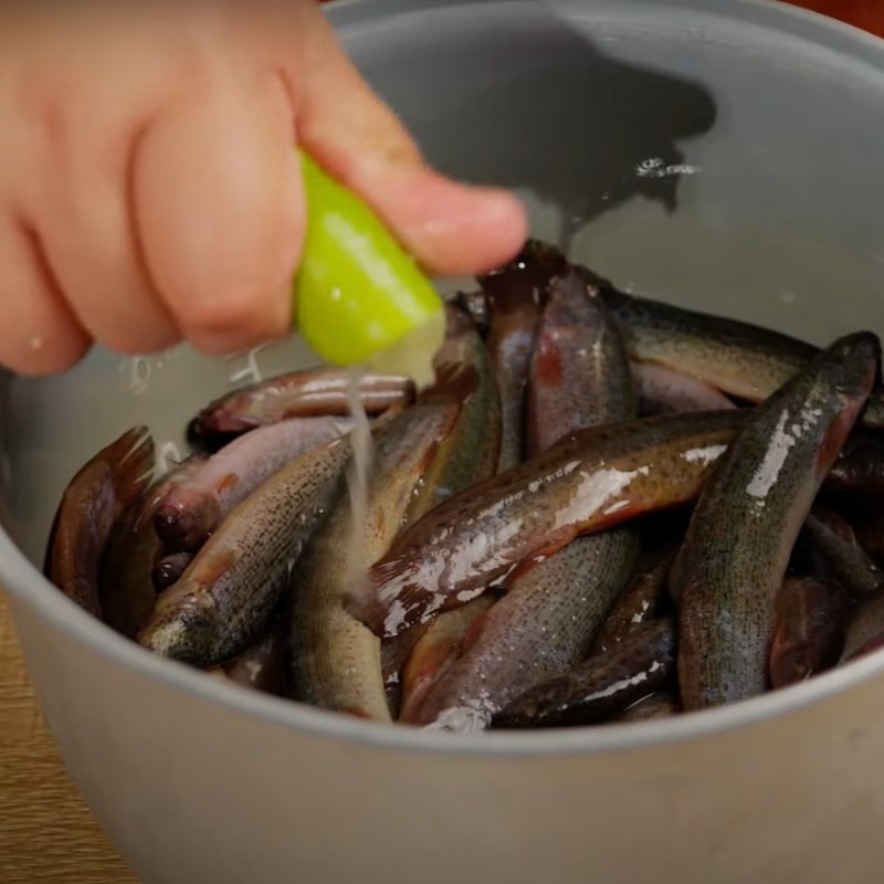 Bước 1 Sơ chế nguyên liệu Cá chạch kho nghệ