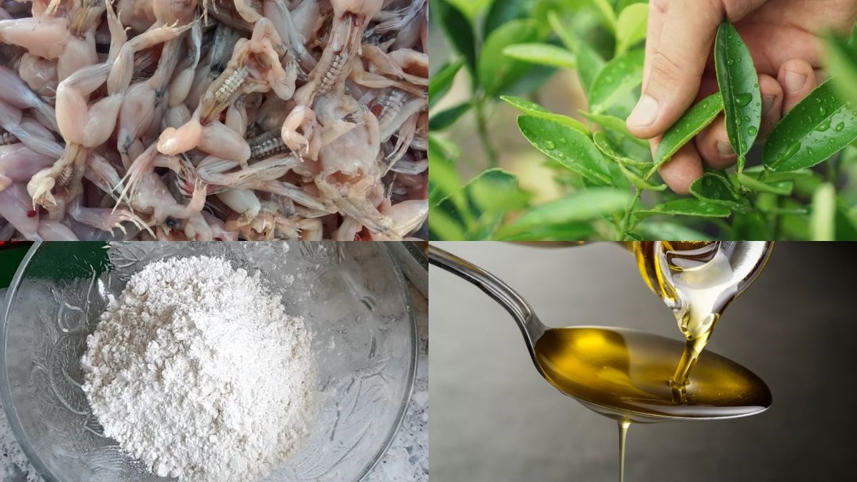 Nguyên liệu món ăn nhái chiên giòn