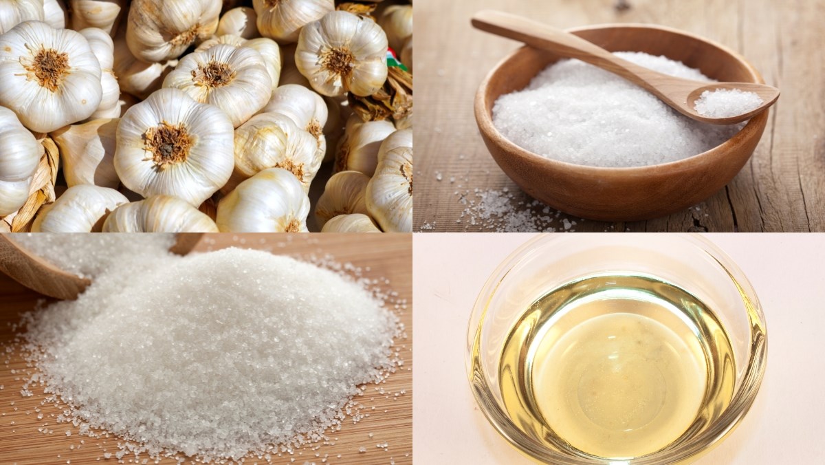 Nguyên liệu món ăn cách ngâm tỏi xanh