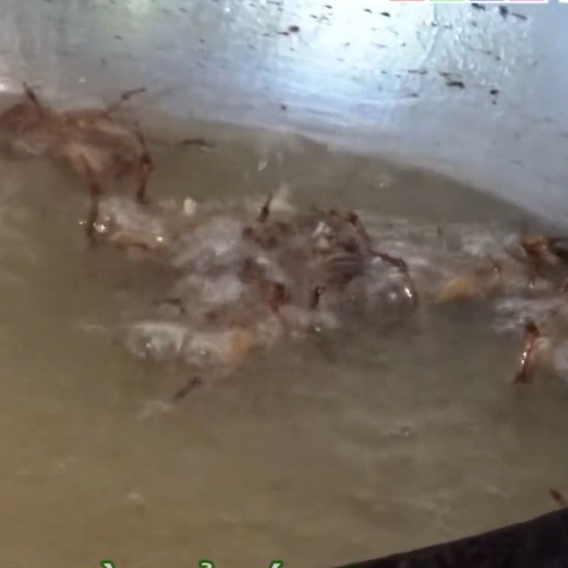 Bước 3 Chiên dế Dế chiên nước mắm