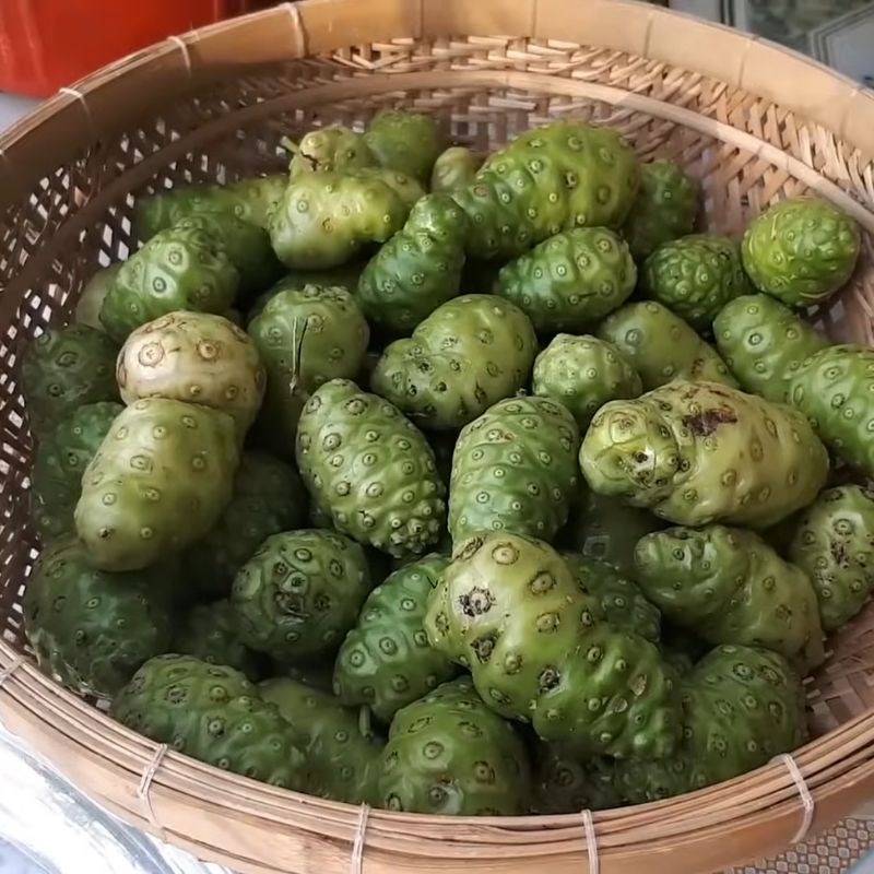 Bước 1 Chọn nhàu Cách ngâm rượu nhàu