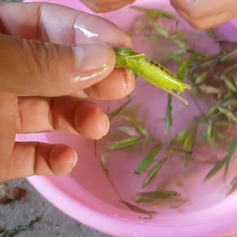 Bước 1 Sơ chế muồm muỗm Muồm muỗm rang