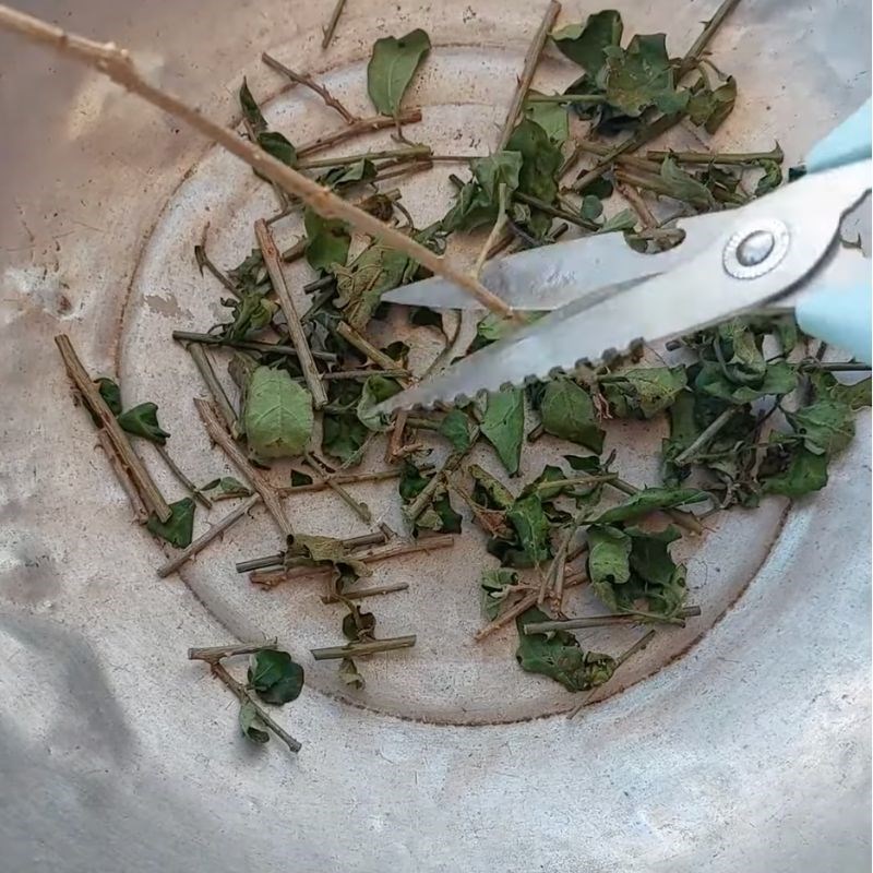 Bước 1 Sơ chế thân cà gai leo Nước cà gai leo