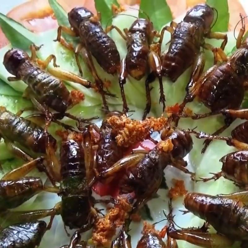 Bước 5 Trình bày món ăn Dế chiên nước mắm
