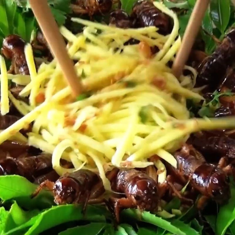 Bước 5 Trình bày món ăn Dế chiên nước mắm