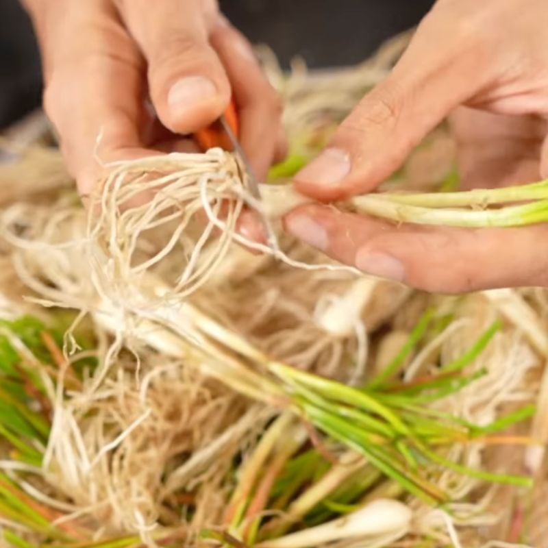 Bước 2 Sơ chế củ kiệu Gân kiệu