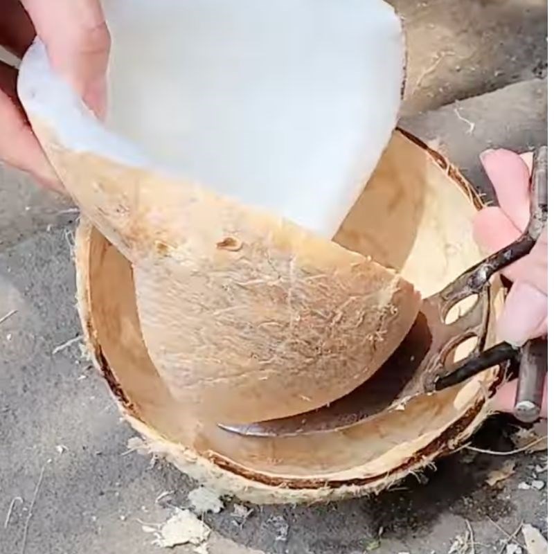 Bước 1 Sơ chế dừa sáp Mứt dừa sáp