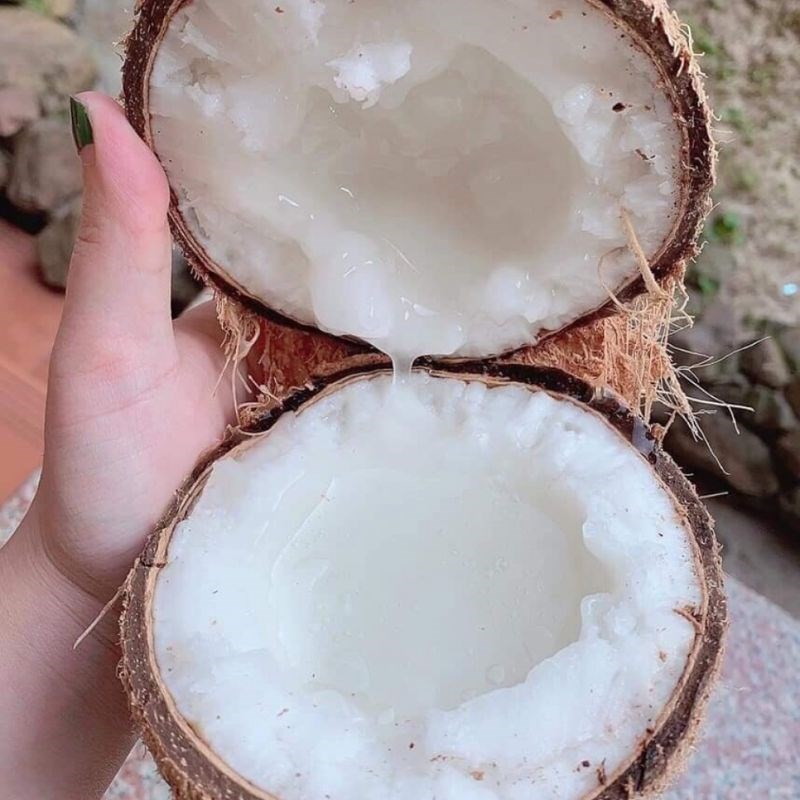 Bước 1 Sơ chế dừa sáp Mứt dừa sáp
