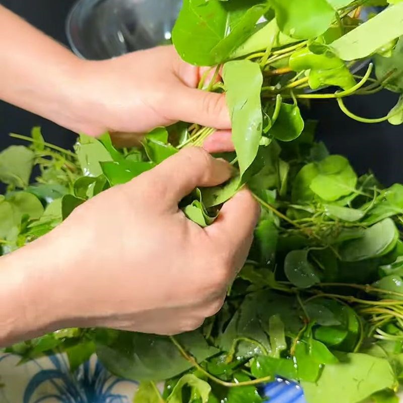 Bước 1 Sơ chế lá giang Nước mắm thấm