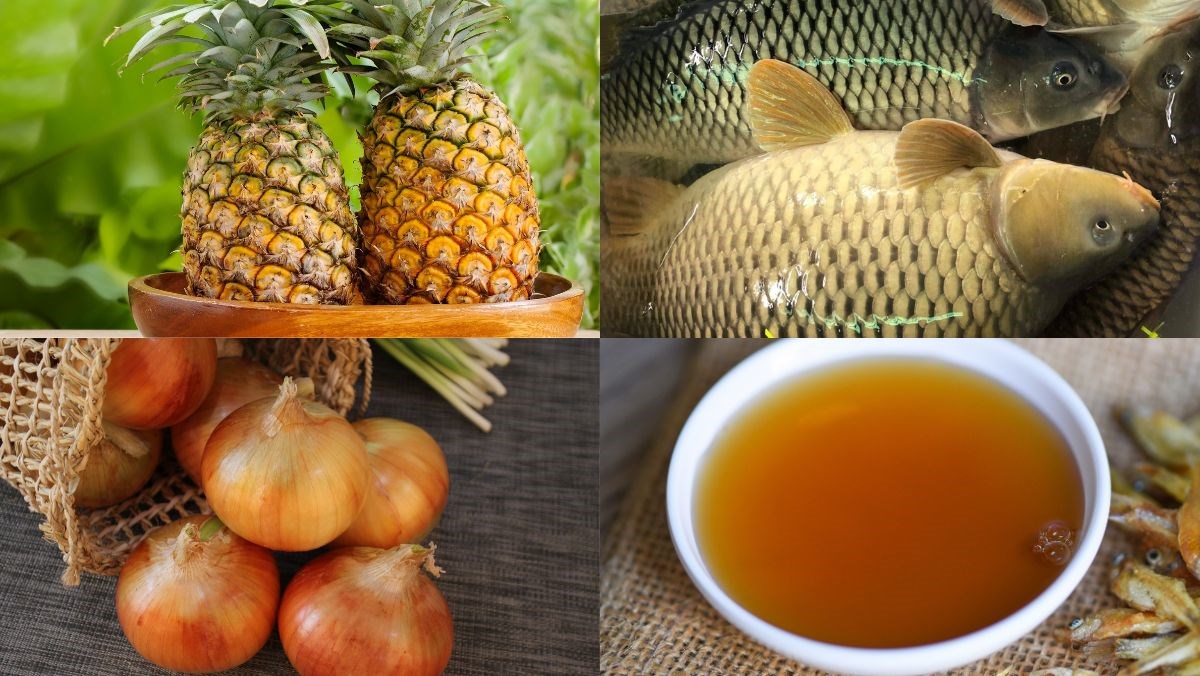Nguyên liệu món ăn cá chép giòn xào dứa