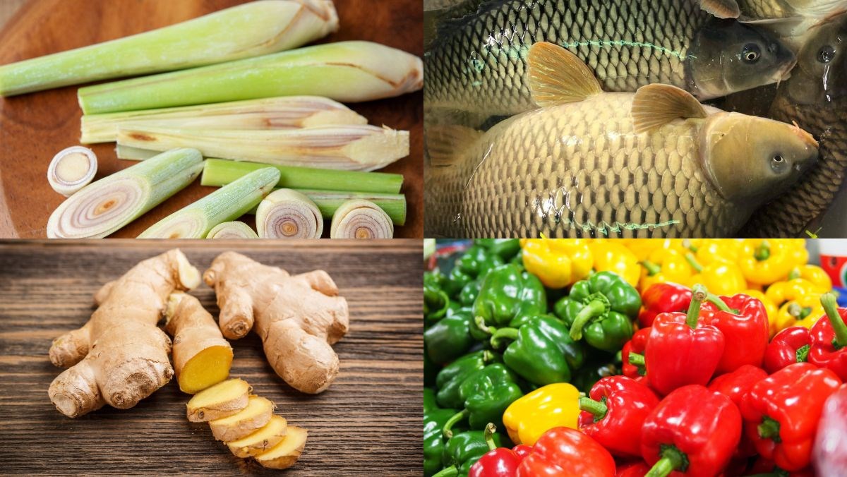 Nguyên liệu món ăn cá chép giòn xào ớt chuông