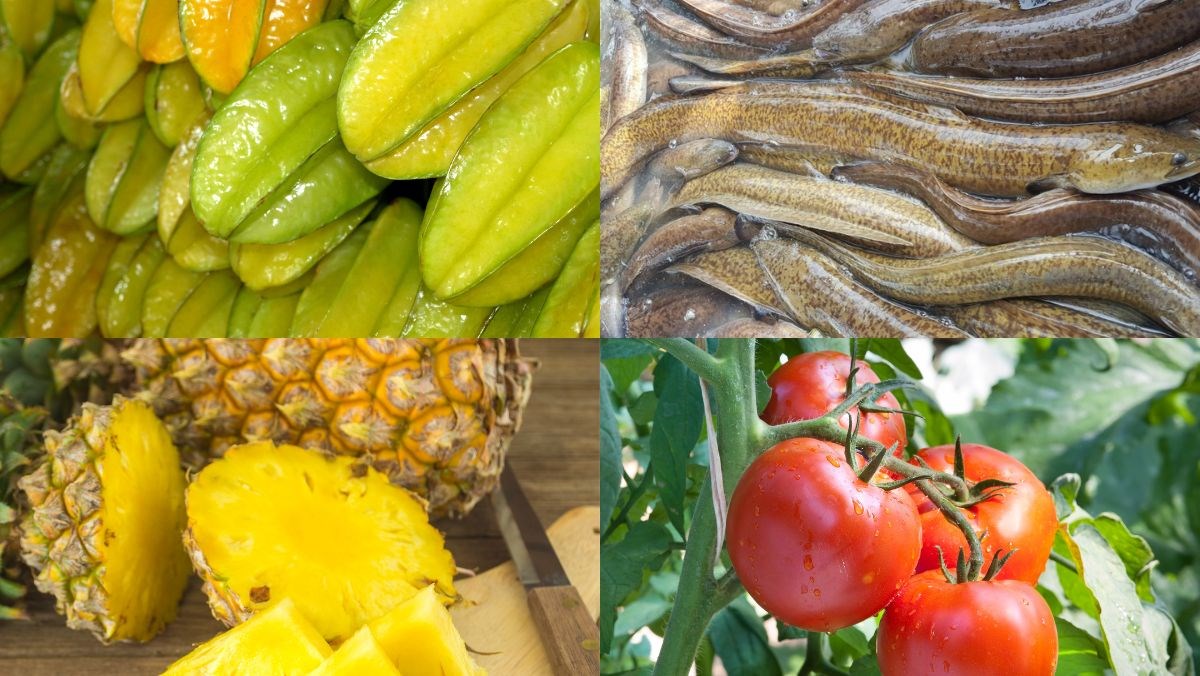 Nguyên liệu món ăn cá chình nấu canh chua