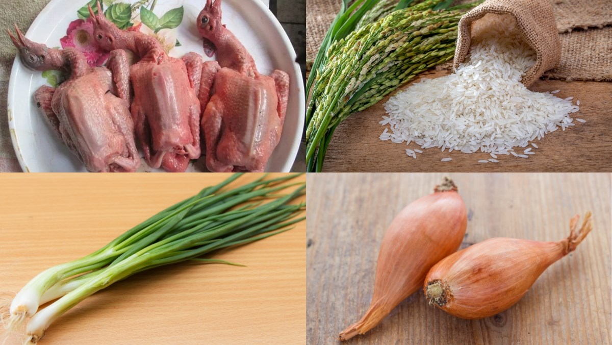 Nguyên liệu món ăn cách nấu cháo bồ câu bằng nồi cơm điện