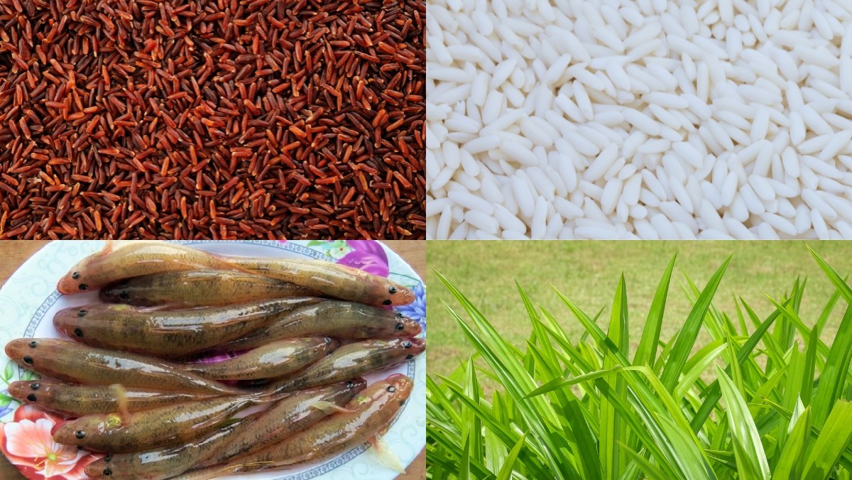 Nguyên liệu món ăn cách nấu cháo gạo đỏ
