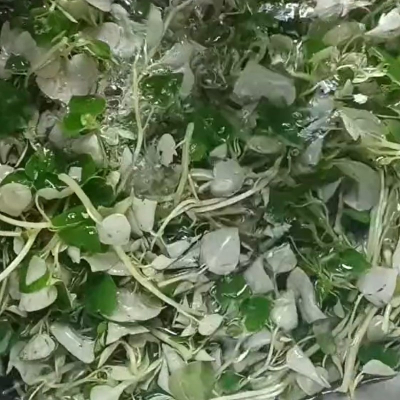 Bước 1 Sơ chế nguyên liệu Rau càng cua xào tỏi