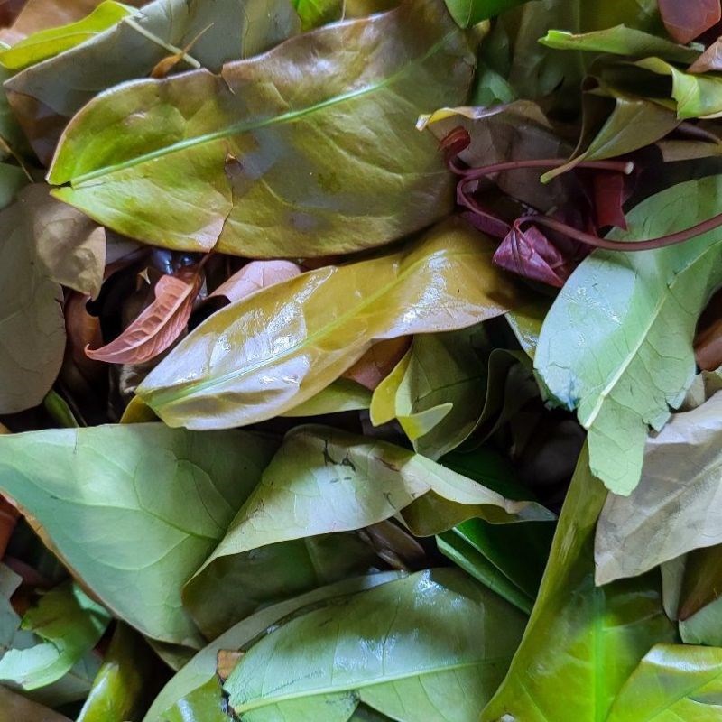 Bước 2 Sơ chế những nguyên liệu khác Canh thụt