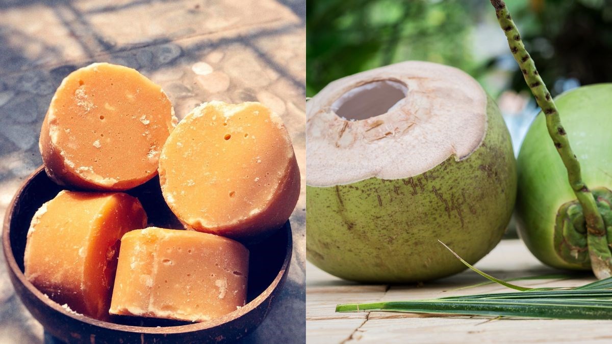 Nguyên liệu món ăn cách làm tan đường thốt nốt