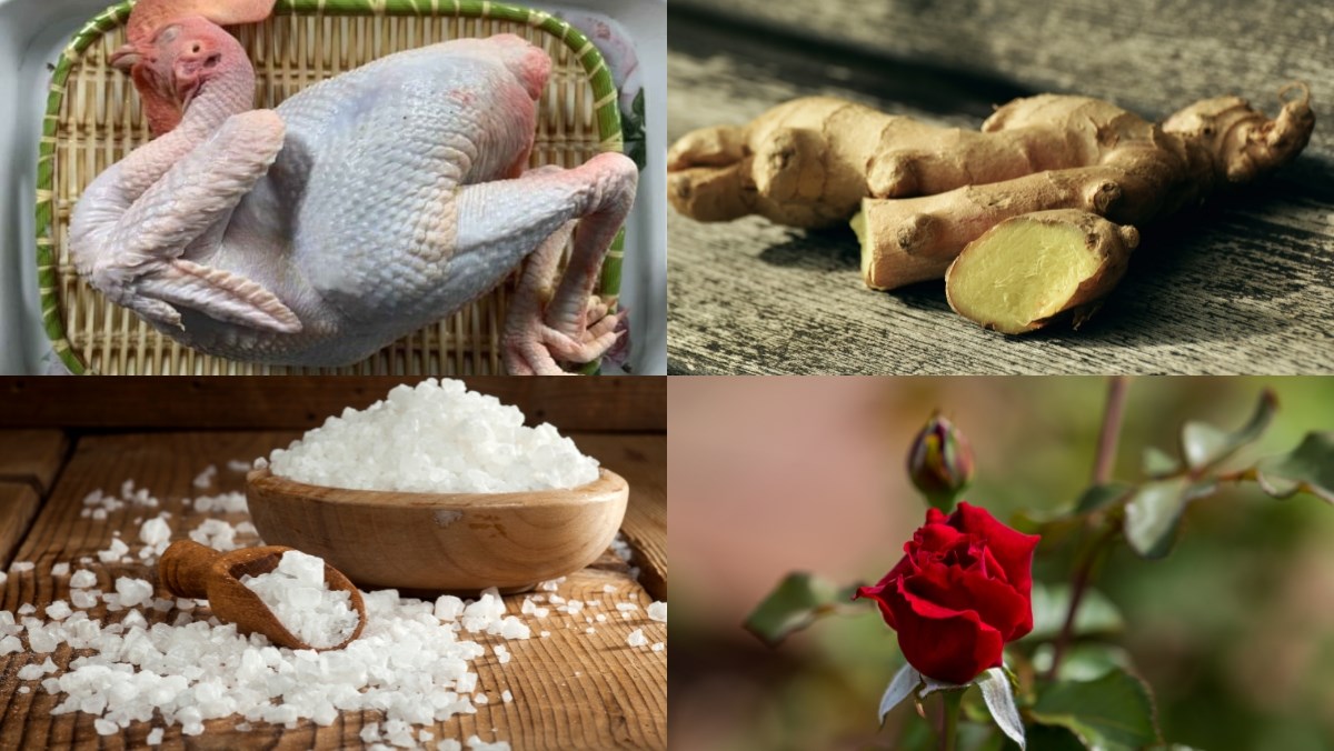 Nguyên liệu món ăn cách buộc gà cánh tiên