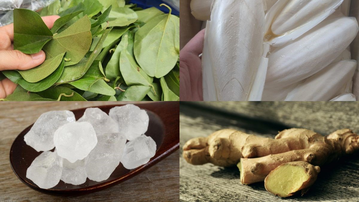 Nguyên liệu món ăn cách làm sương sâm bằng nang mực