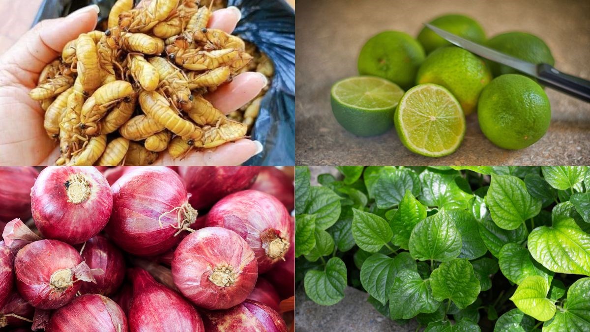 Nguyên liệu món ăn ve sầu chiên giòn