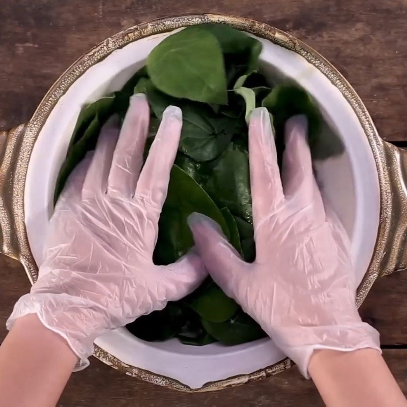 Bước 2 Vò lá sương sâm nang mực làm sương sâm