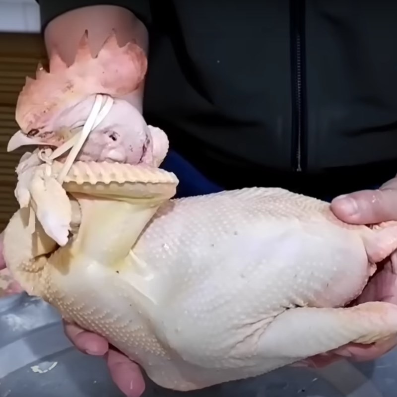 Bước 3 Buộc gà cánh tiên Gà cánh tiên
