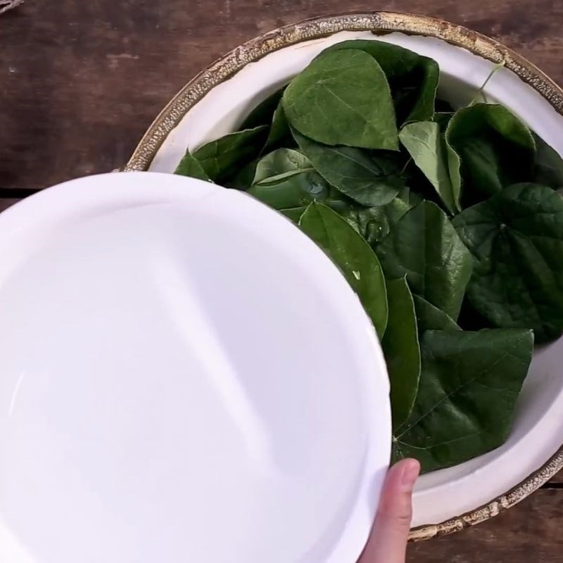 Bước 1 Chuẩn bị lá sương sâm Cách làm sương sâm không cần nang mực