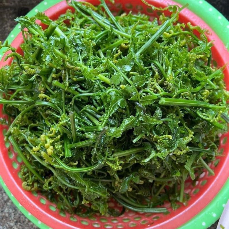 Bước 1 Chuẩn bị nguyên liệu Nộm rau dớn