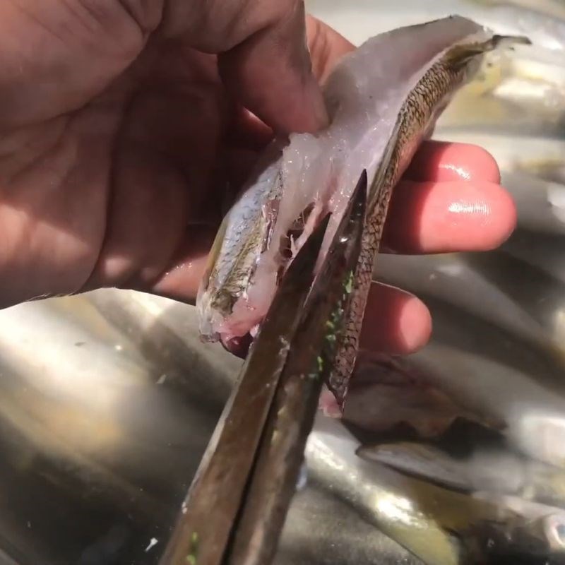 Bước 1 Làm cá Cá nhồng 1 nắng