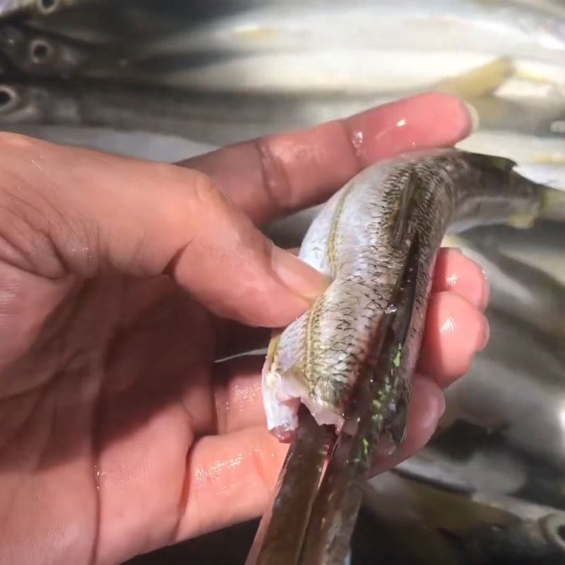 Bước 1 Làm cá Cá nhồng 1 nắng