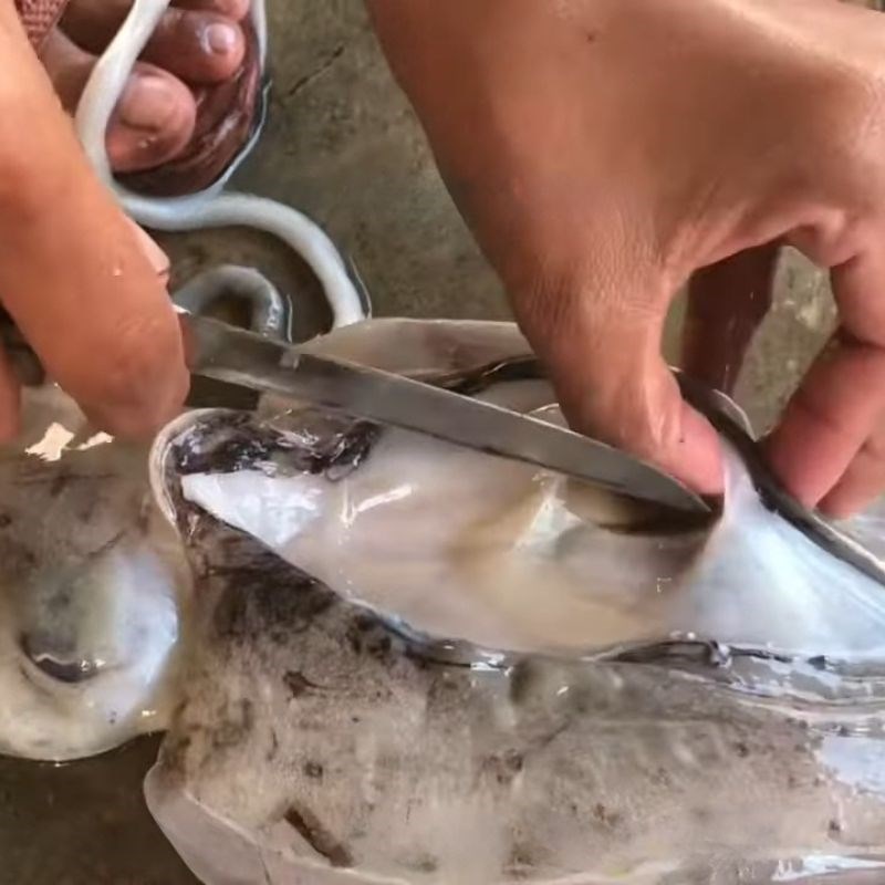 Bước 1 Làm sạch bụng Cách làm mực nang