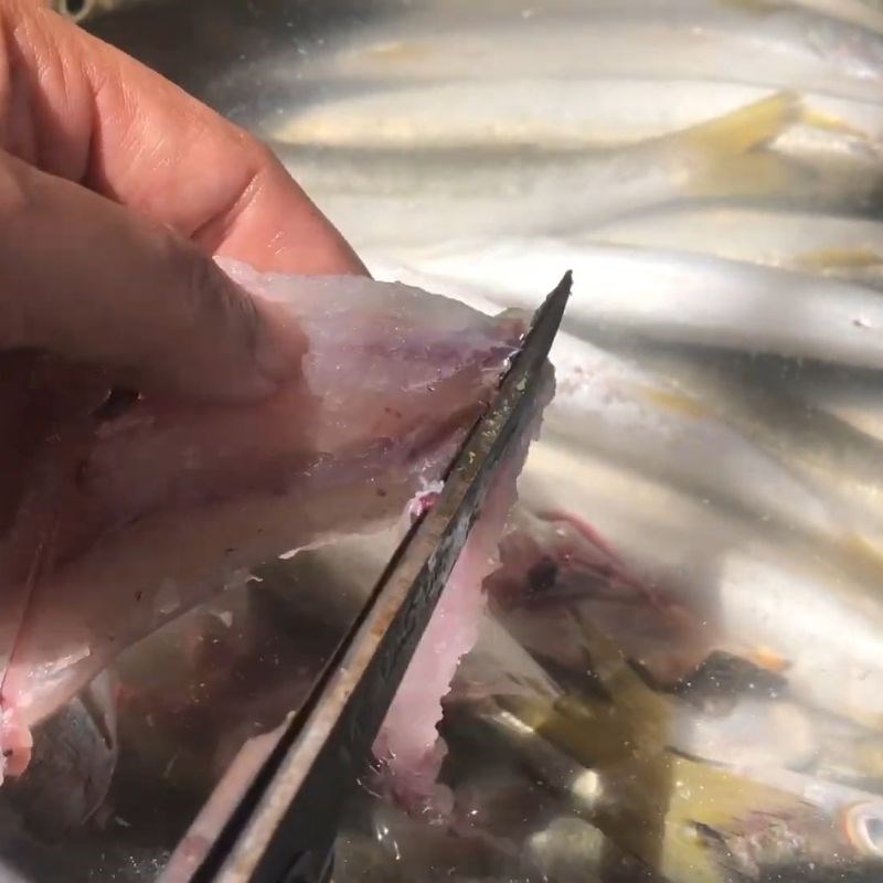 Bước 2 Lấy xương cá Cá nhồng 1 nắng