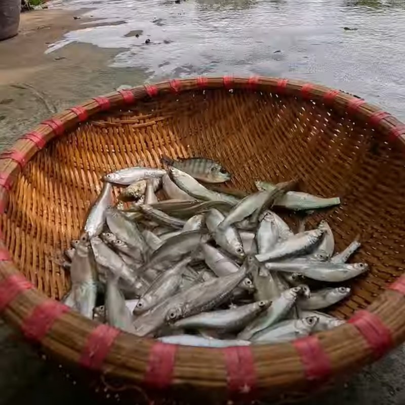 Bước 1 Sơ chế nguyên liệu Cá  mương chiên giòn