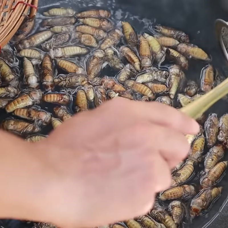Bước 1 Sơ chế ve sầu Ve sầu chiên giòn