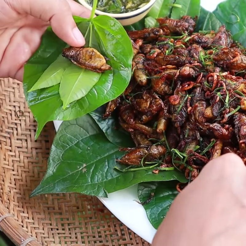 Bước 5 Thưởng thức Ve sầu chiên giòn