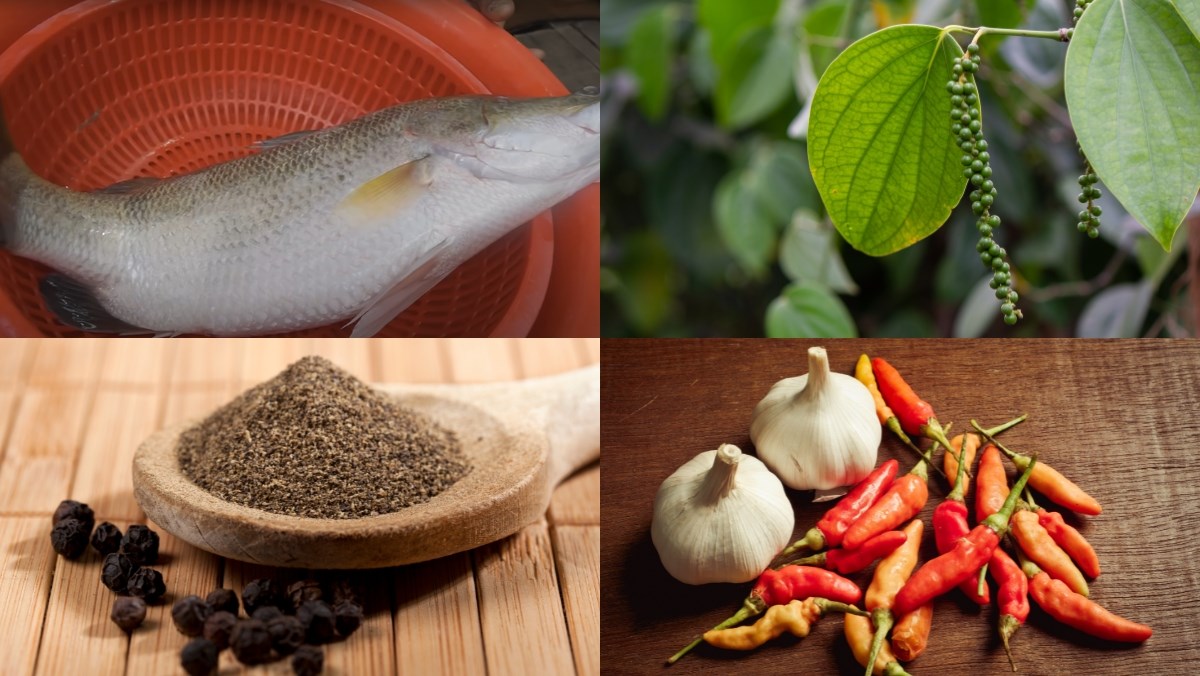 Nguyên liệu món ăn cách làm cá chẽm kho tiêu