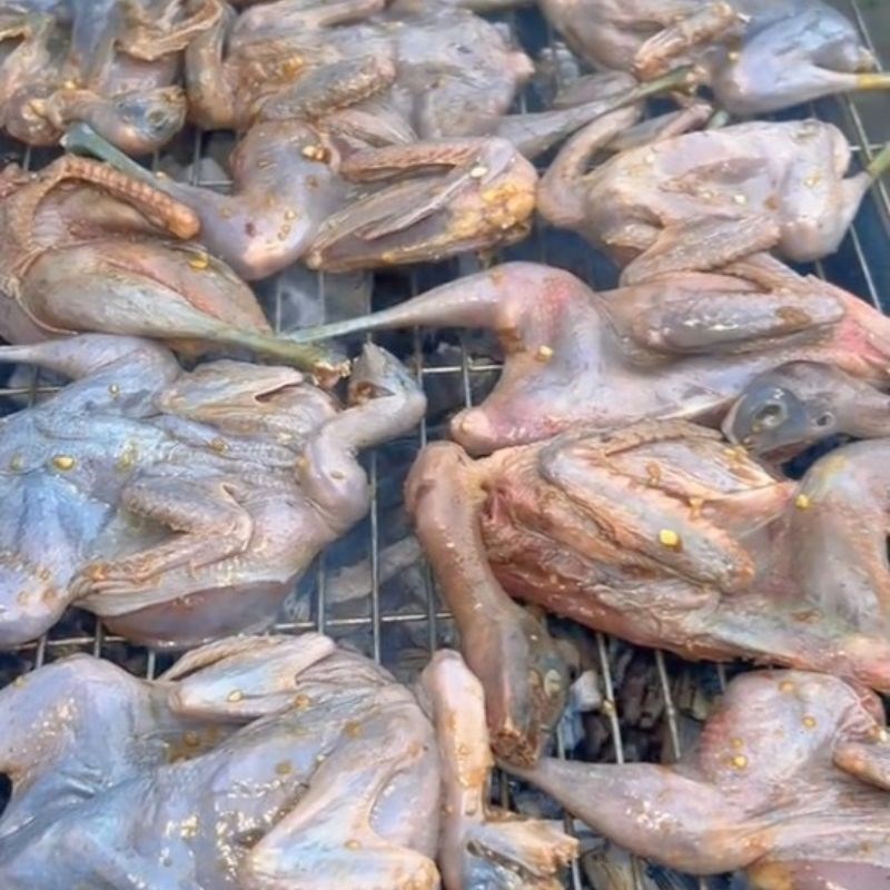 Bước 3 Nướng chim cúm núm Cúm núm nướng muối ớt