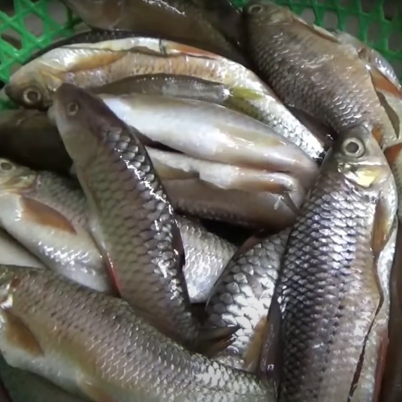 Bước 1 Sơ chế cá suối Cá suối chiên giòn